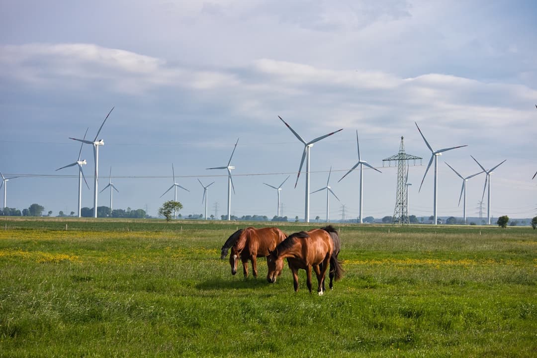 Climate Unicorns: Where the Next Green Billion-Dollar Companies Will Emerge